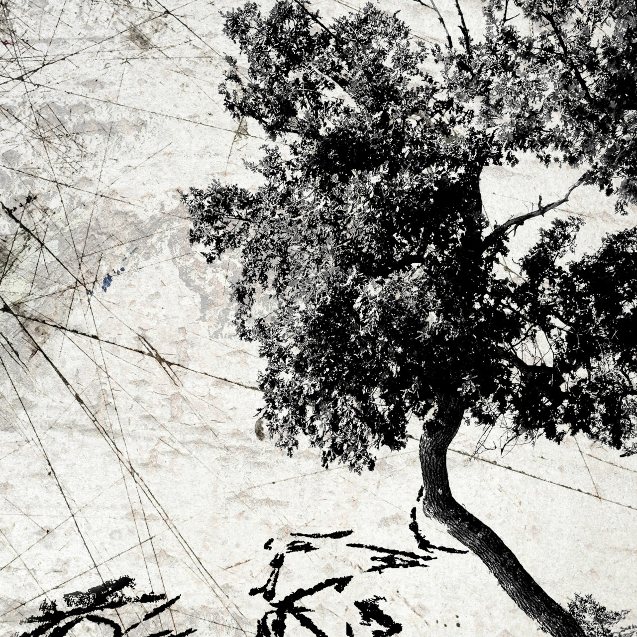 Francis Jolly, Sans titre, série Arbres