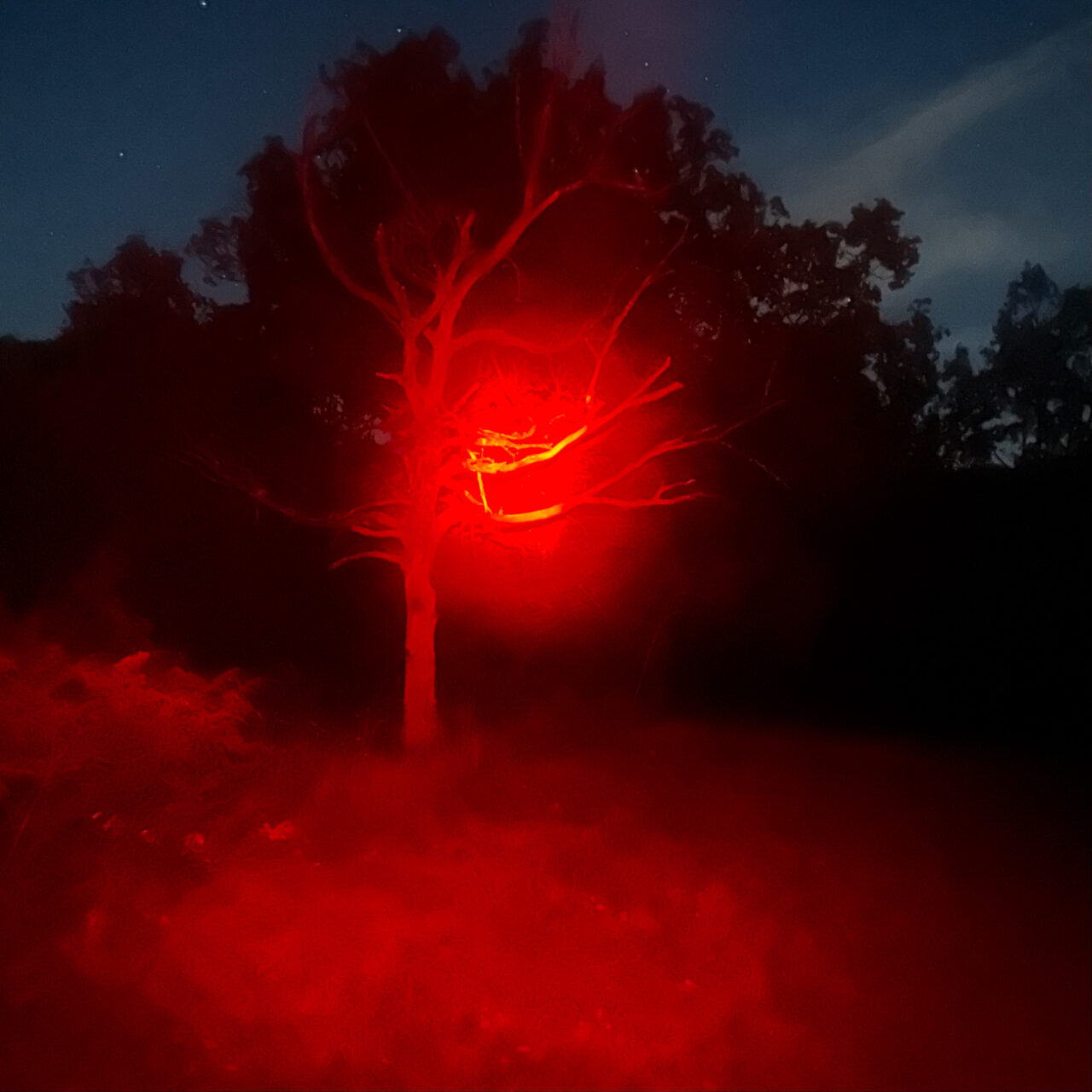 Francis Jolly, Sans titre, série Nuit